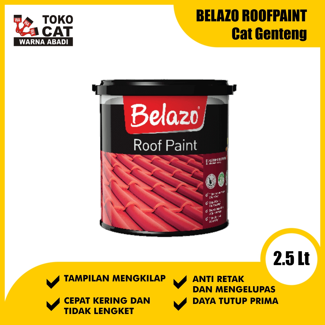 BELAZO ROOF PAINT